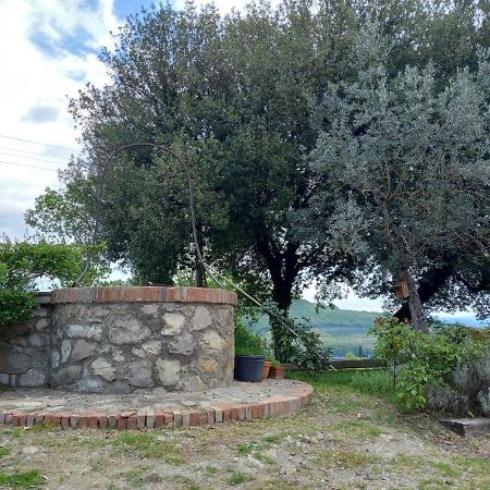 Agriturismo Riparossa アッレローナ エクステリア 写真