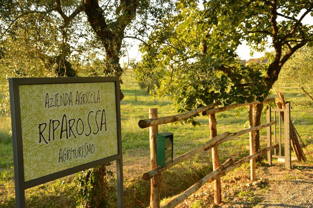 Agriturismo Riparossa アッレローナ エクステリア 写真