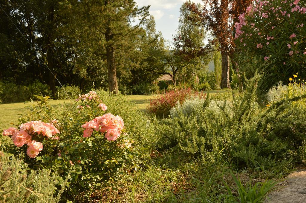 Agriturismo Riparossa アッレローナ エクステリア 写真