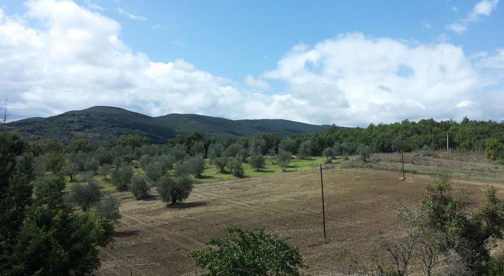 Agriturismo Riparossa アッレローナ エクステリア 写真