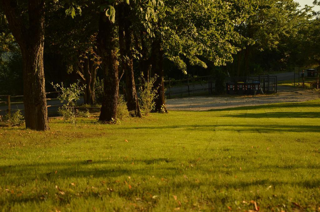 Agriturismo Riparossa アッレローナ エクステリア 写真