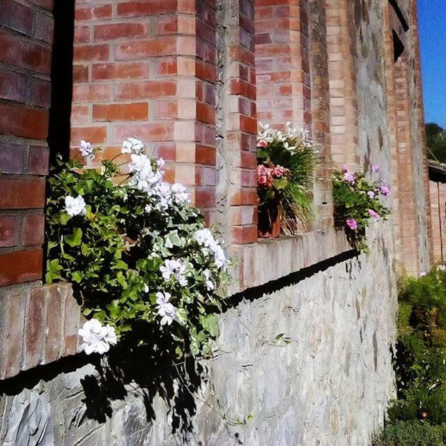 Agriturismo Riparossa アッレローナ エクステリア 写真